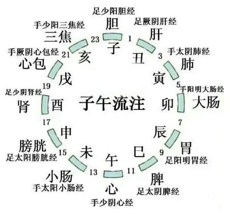 地支歌|十二经纳地支歌